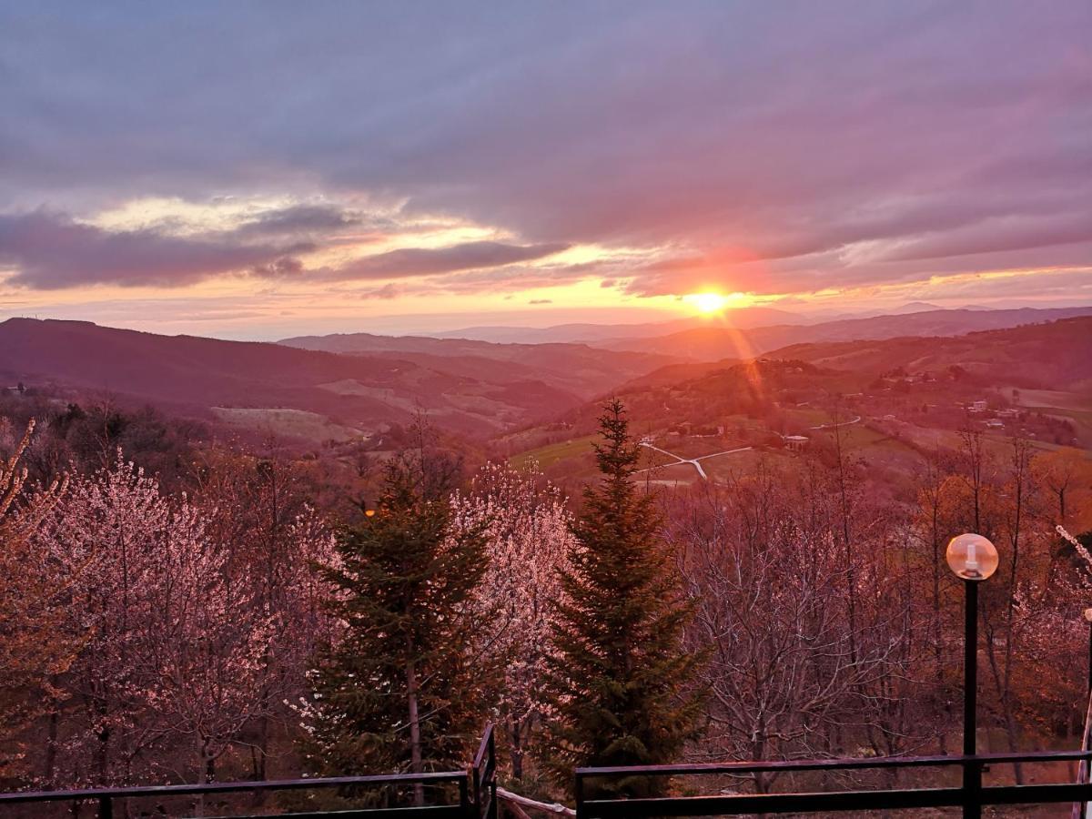 Agriturismo Il Noceto Villa Assisi Kültér fotó