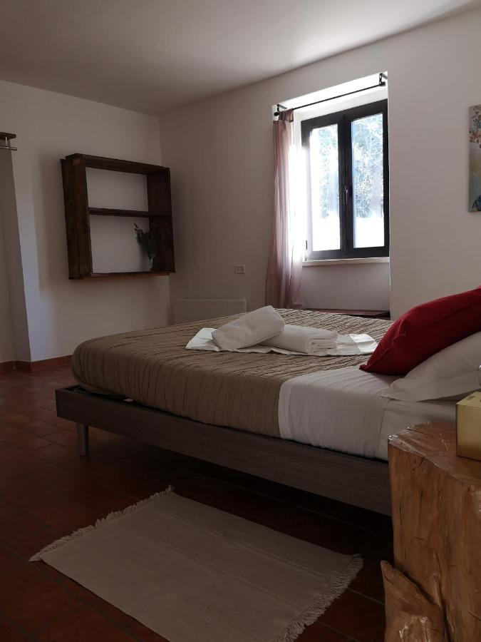Agriturismo Il Noceto Villa Assisi Kültér fotó