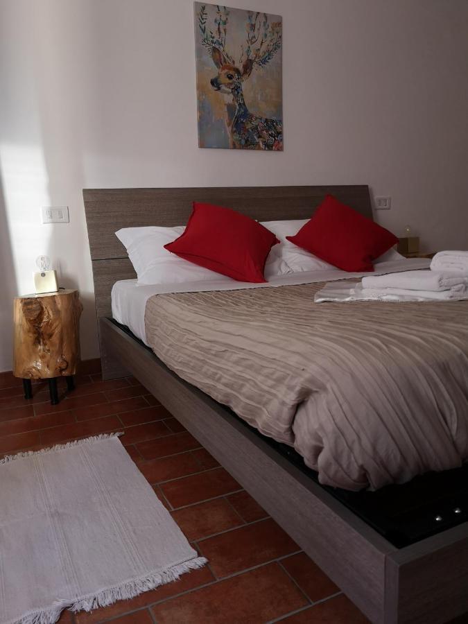 Agriturismo Il Noceto Villa Assisi Kültér fotó