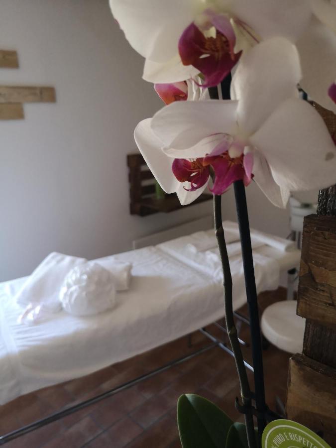 Agriturismo Il Noceto Villa Assisi Kültér fotó